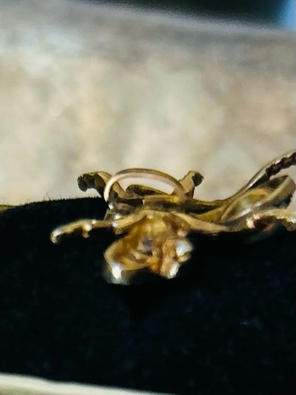 Antique Insect Natural Gems Victorian Pendant - Picture 9 of 14